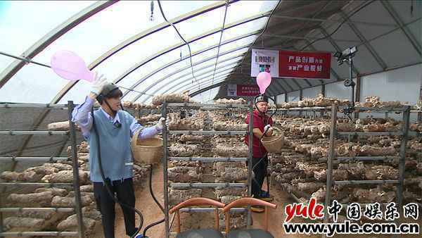 《极限挑战宝藏行》走进甘肃临夏，虞书欣夜市摆摊