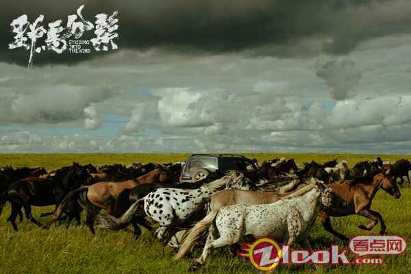 魏书钧导演《野马分鬃》发布国际版海报 载誉戛纳勇闯釜山