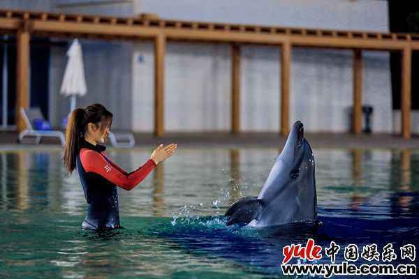 《完美的夏天》出岛寻梦 李汶翰变身“海王”挑战高台跳水