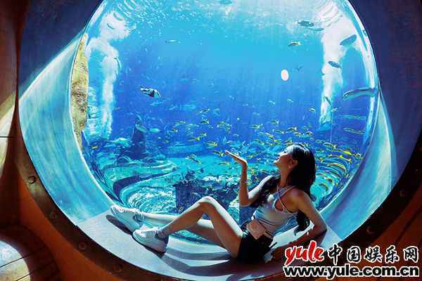 《完美的夏天》出岛寻梦 李汶翰变身“海王”挑战高台跳水