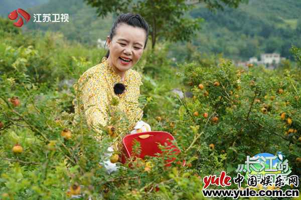 《从长江的尽头回家》贵州篇今晚播出 龚琳娜唱响布依族盘歌