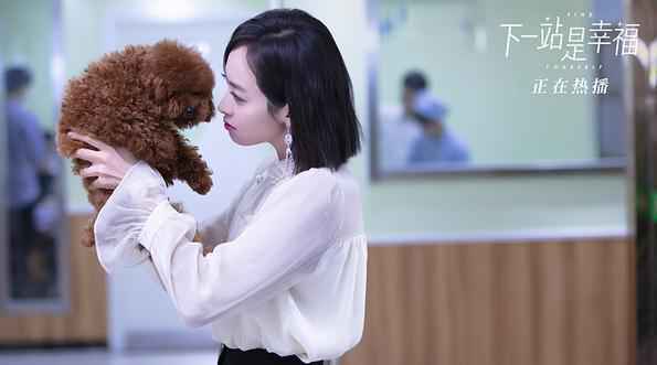 《下一站是幸福》“繁星相宋”感情面临重要转折 现实压力令观众心疼又揪心