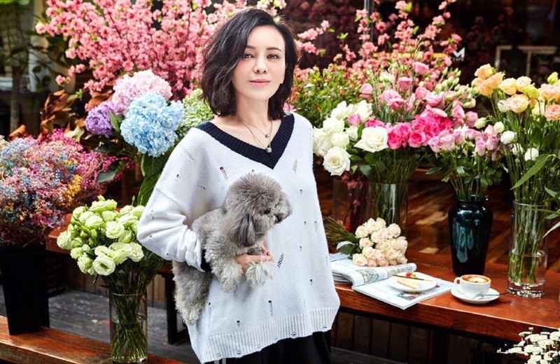 《演员巅峰对决》雪姨王琳化身慈爱母亲，倾情演绎《大宅门》片段