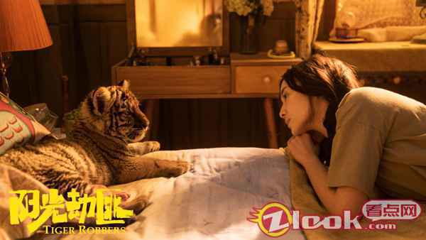 3 宋佳《阳光劫匪》定档12月31日 搭档马丽开启奇幻“寻虎”之旅