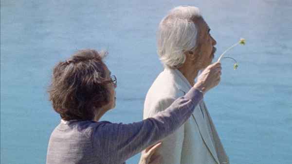 米津玄师与「カナリヤ」(金丝雀)MV导演:是枝裕和对谈影像公开!