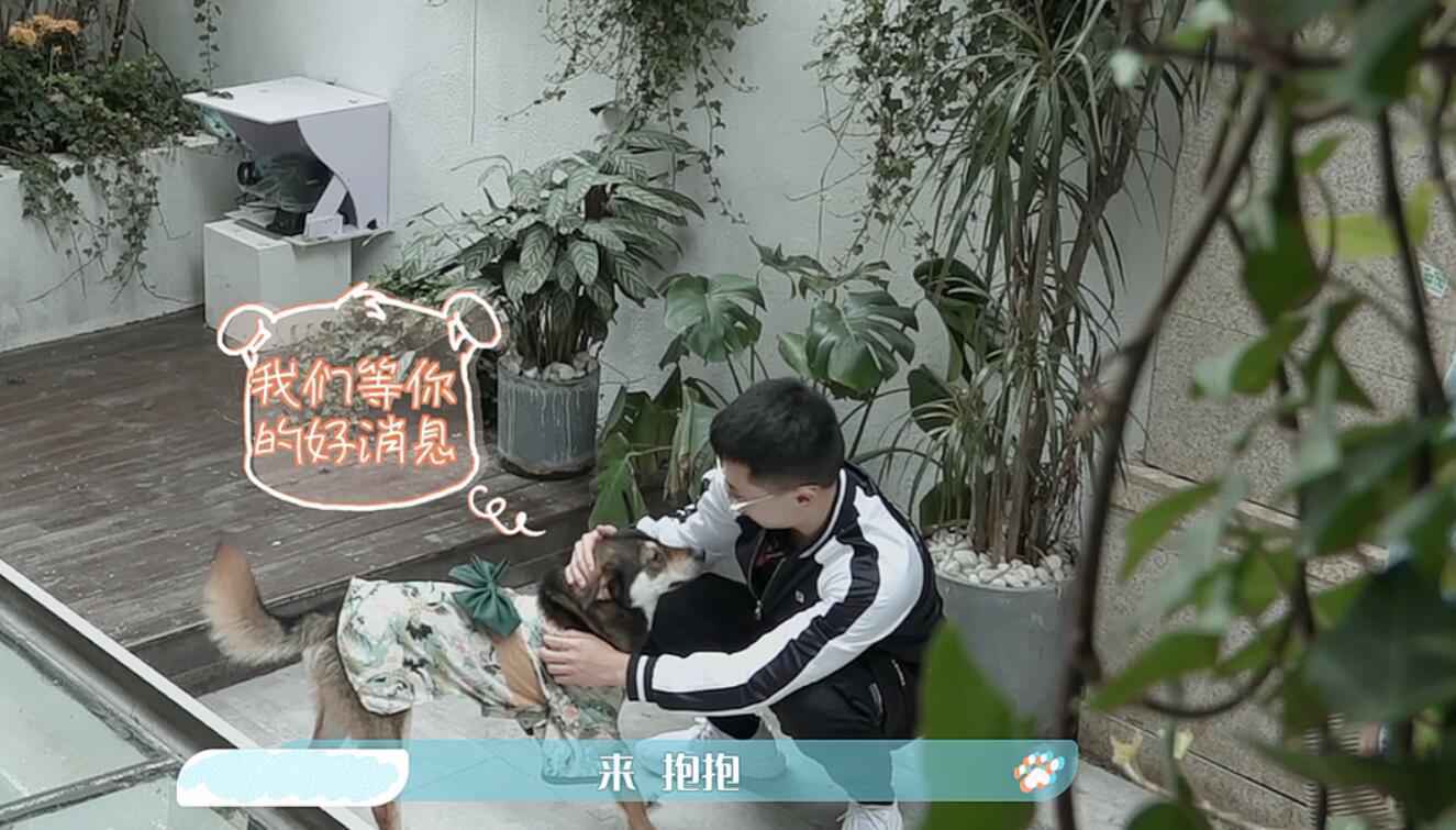 《汪喵物语》温情收官 朱正廷张雨剑泪别鹌鹑一条