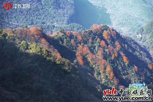 《从长江的尽头回家》重庆站收官 孟非赏山景连连赞叹 冯提莫唱山歌婉转动听