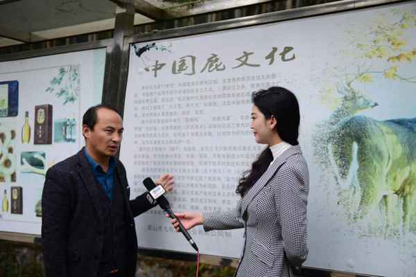 姜蓉蓉主演微电影《九牧皇家鹿胶》，颜值太高超有范