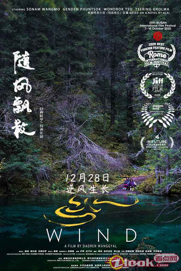 电影《随风飘散》定档12月28日 聚焦藏族女性重拾爱与勇气