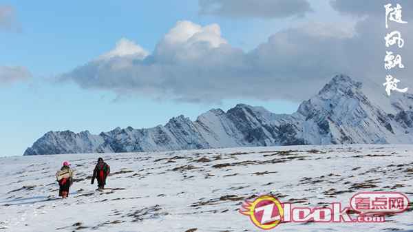 电影《随风飘散》定档12月28日 聚焦藏族女性重拾爱与勇气