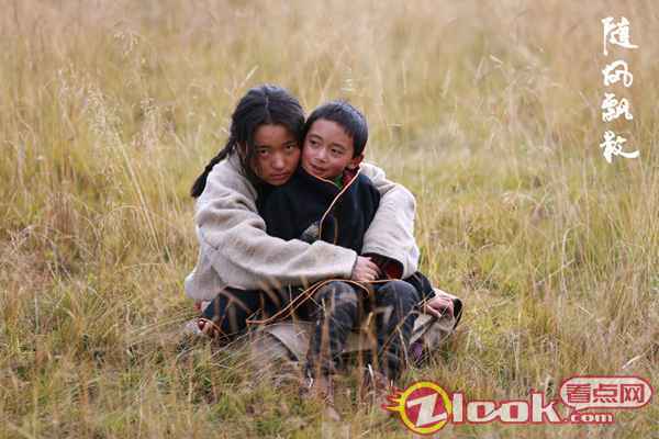 电影《随风飘散》定档12月28日 聚焦藏族女性重拾爱与勇气