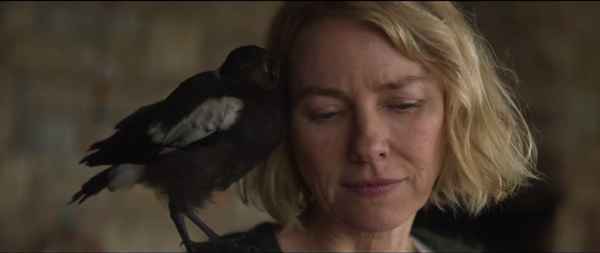 QQ截图20210109091804 娜奥米沃茨新片《企鹅布鲁姆》曝预告 受伤的女人和小喜鹊互相依偎