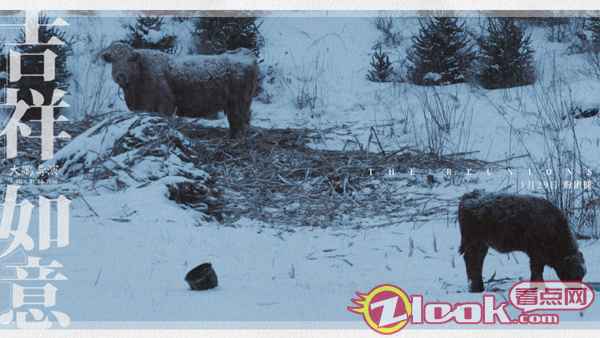 大鹏《吉祥如意》发布家乡版剧照 1月24日开启15城超前点映