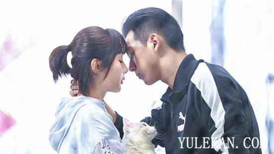 网友自发组织了2020金鹰女神投票，票数最高的是谁？