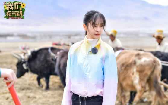 Angelababy晒小海绵视频花式催婚 小海绵竟把baby弟弟叫哥哥？