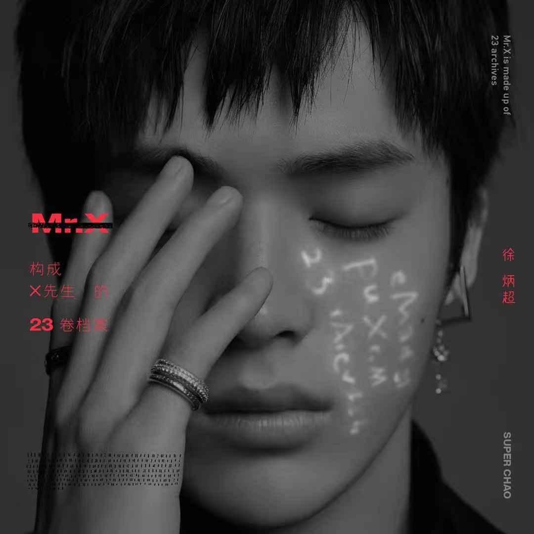 构成徐炳超的23卷档案 专属X先生的23种无限可能