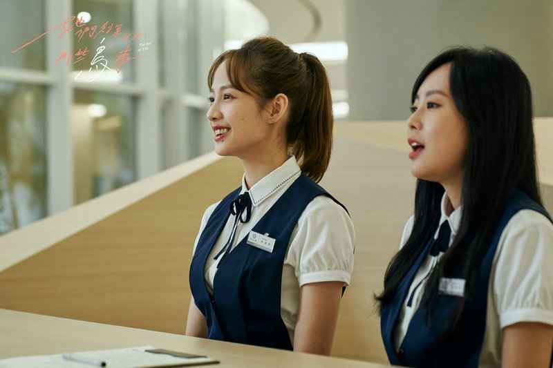 从《她们创业的那些鸟事》豆瓣开分9.0 回顾台剧热象