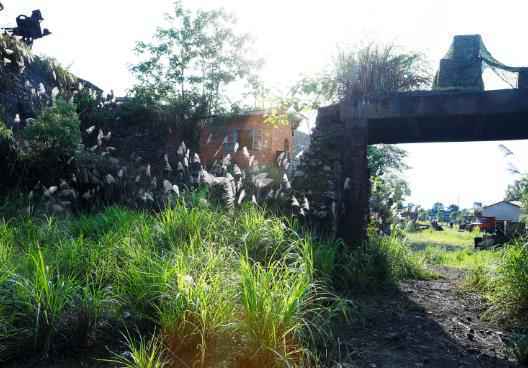 组图：《勇敢的世界》录制现场大曝光！这还原度太高了吧