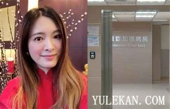 刘母到底对媒体说了什么？刘真平安苏醒真的假的？