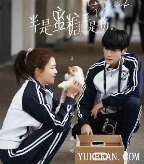 2020年未播先火的剧有哪些？哪一部你更期待？