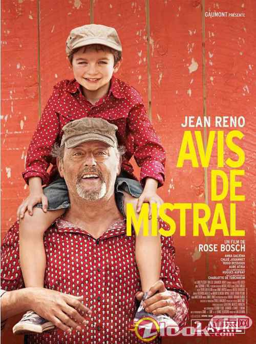 拯救不开心！9部治愈系外国电影推荐