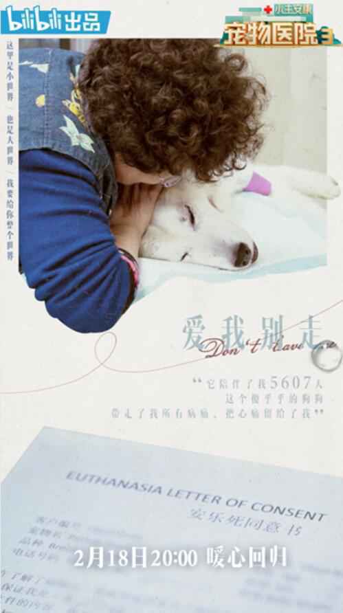 《小主安康宠物医院3》暖心开播，“宠物版人间世”感动回归