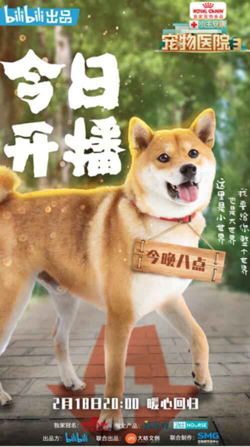 《小主安康宠物医院3》暖心开播，“宠物版人间世”感动回归