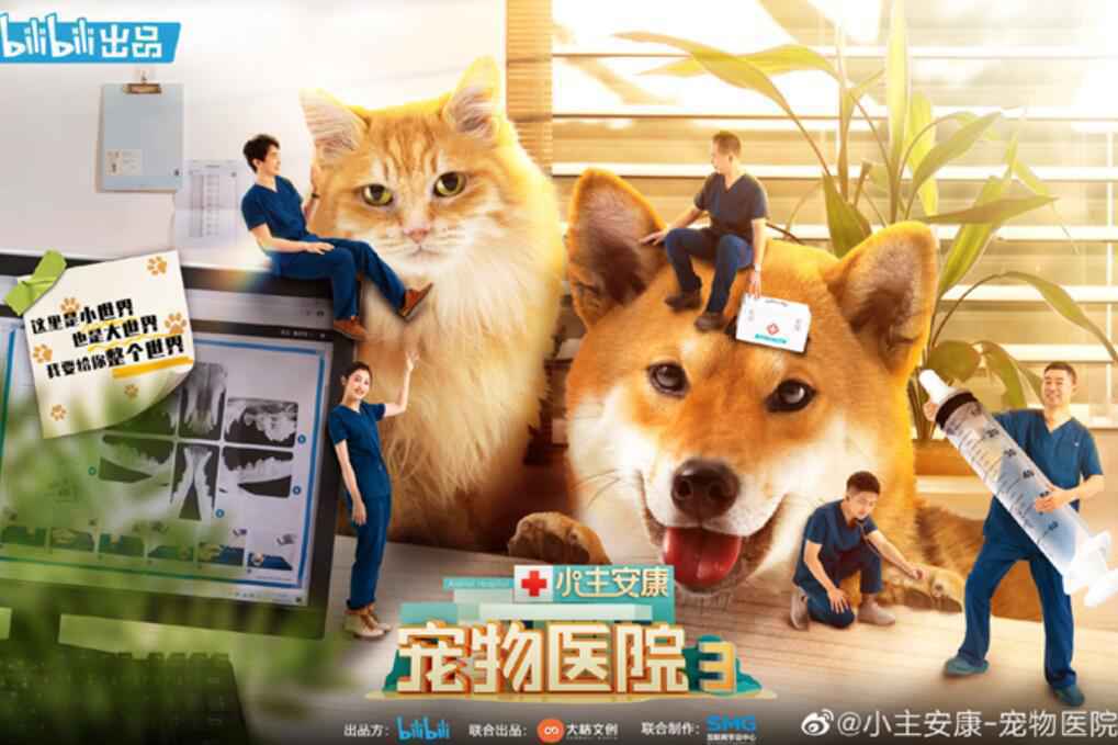 《小主安康宠物医院3》暖心开播，“宠物版人间世”感动回归