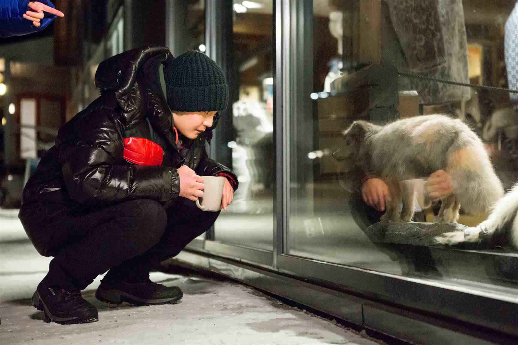 尹正《小小的追球》拍卖会畅谈环保 暖心绅士泪别极地之旅