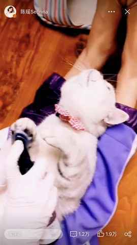 谭维维双城音乐节掀最强音浪 劲歌金曲放肆嗨