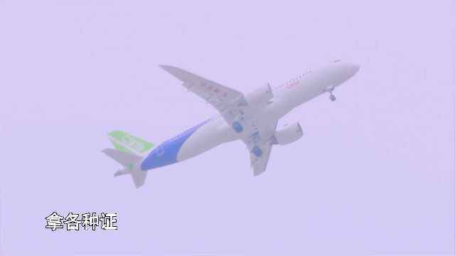 C919大飞机“上天考试”:96个加载点 机翼变形程度超3米