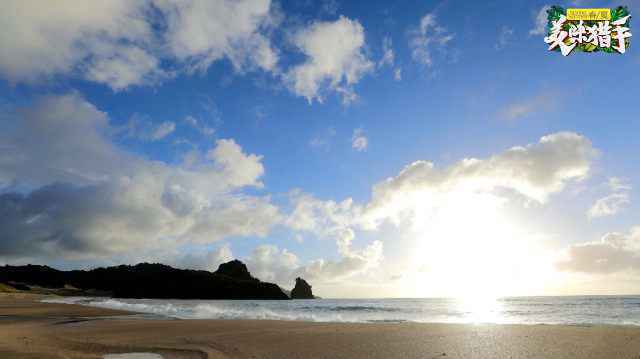神秘嘉宾惊喜造访《美味猎手》 领队田亮荒岛尬舞