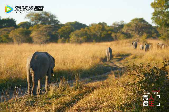 《奇遇人生》首播 纪录片X真人秀结合展现电影质感