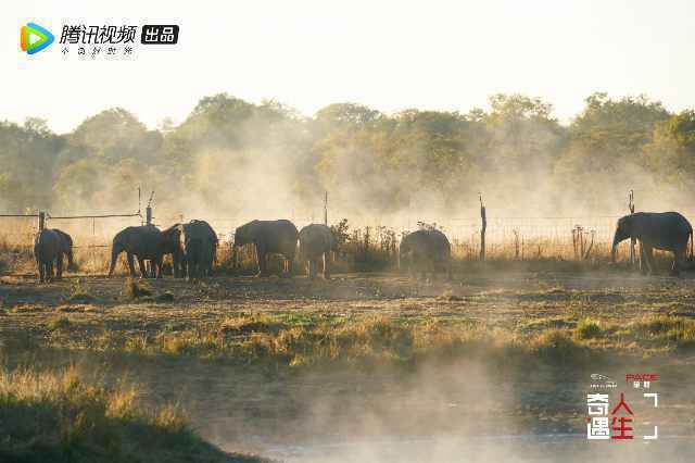 《奇遇人生》首播 纪录片X真人秀结合展现电影质感