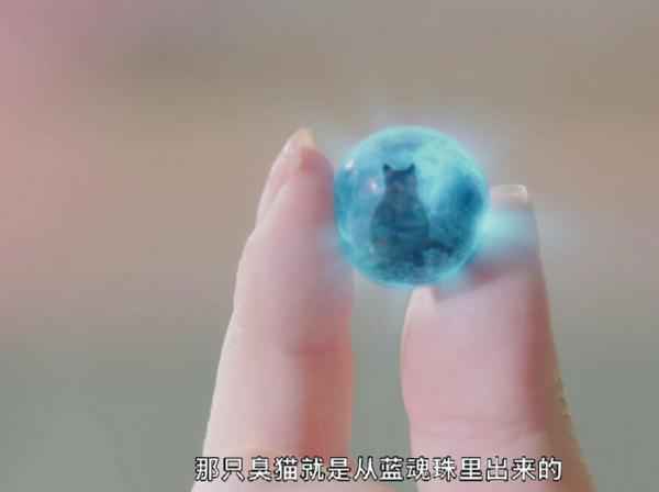 这部甜宠剧凭口碑大火,豆瓣高评7.6,短短16集全是精华