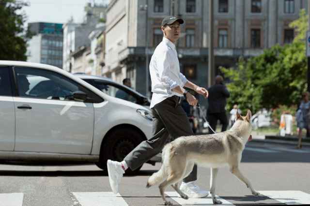孟美岐的C位：一个稳定的成果，一个稳妥的开始