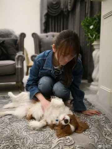 超级网剧《镇魂》插曲《初心》发布 张赫宣走心献唱万年情长