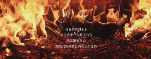 我将在历史上的每个朝代爱你 | 音画音乐会《情爱江南》4月绝美上演！