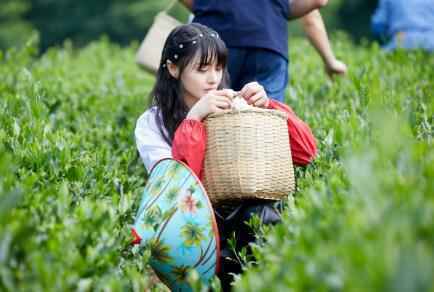 《让生活好看》收官 郑爽体验茶农生活许魏洲进剧组参加集训