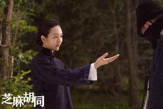 《芝麻胡同》播出引热议 王鸥发长文回应角色质疑