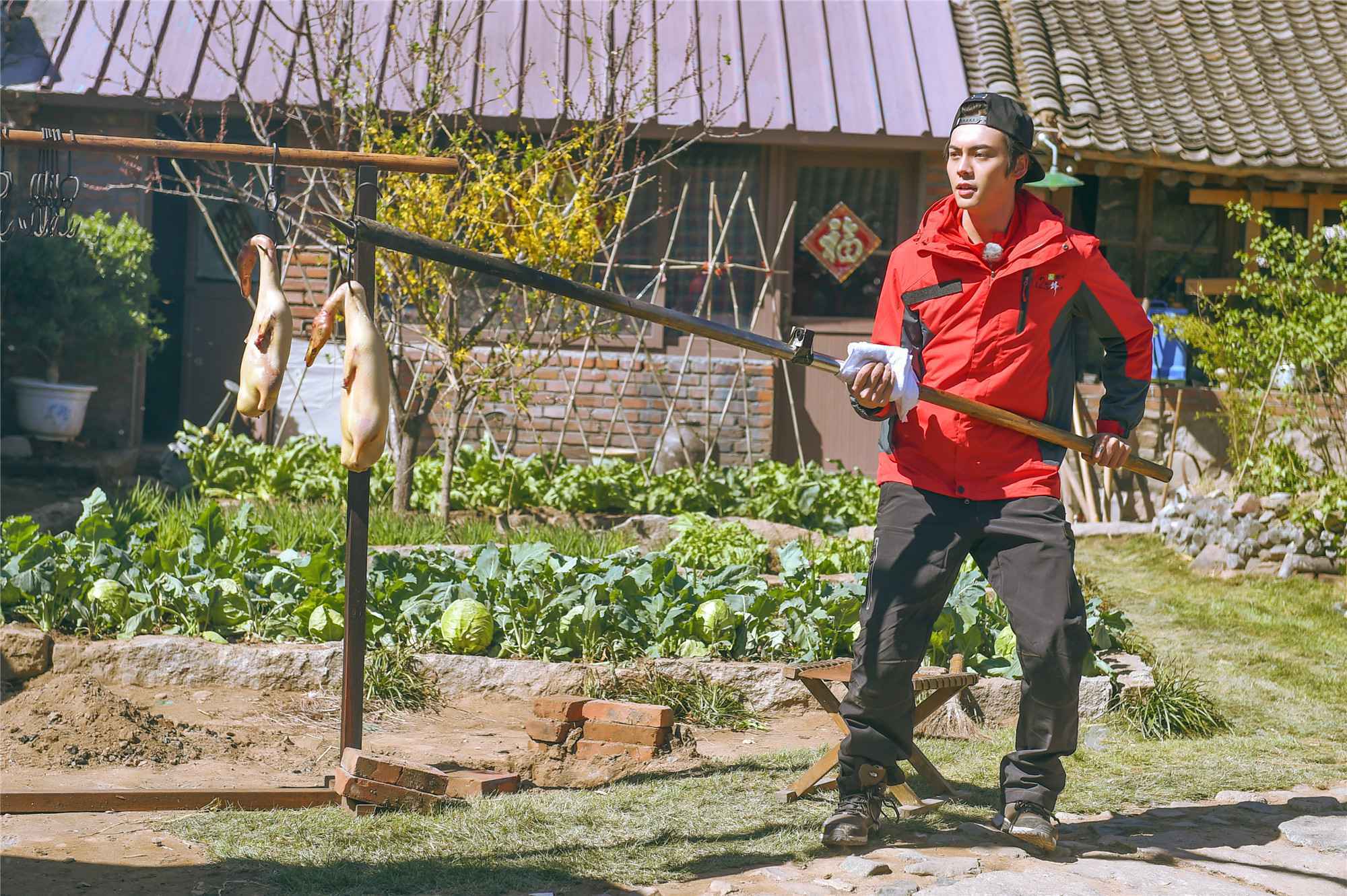 陈伟霆谢霆锋：《十二道锋味》师兄弟上演美食美色大戏