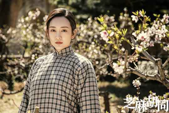 王鸥《芝麻胡同》催泪收官成绩傲人 多部待播新剧引期待