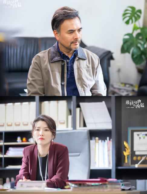 《藤科动物也凶猛》全员定义“凶猛”青春 徐璐李治廷重塑成长