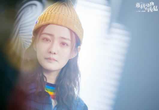 《藤科动物也凶猛》全员定义“凶猛”青春 徐璐李治廷重塑成长