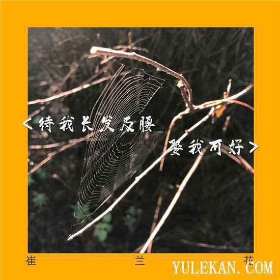 崔兰花全新EP《待我长发及腰 娶我可好》上线 硬核摇滚兼具温柔本色