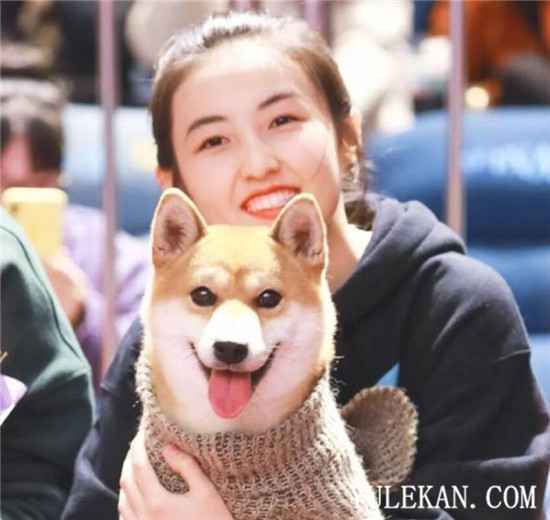 《向往的生活4》第三季嘉宾真的会全员回归吗？