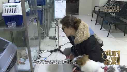 《此时此刻》城市流浪动物激增 法国女教师献计献策