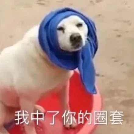 都在嘲“世界的参差”,内娱演艺圈的门槛在哪?