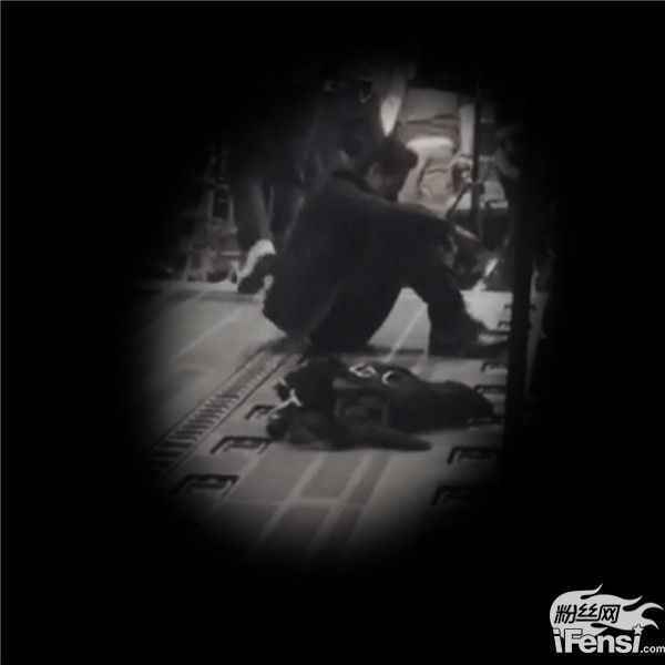 带伤工作十五小时 甄子丹背影圈新粉