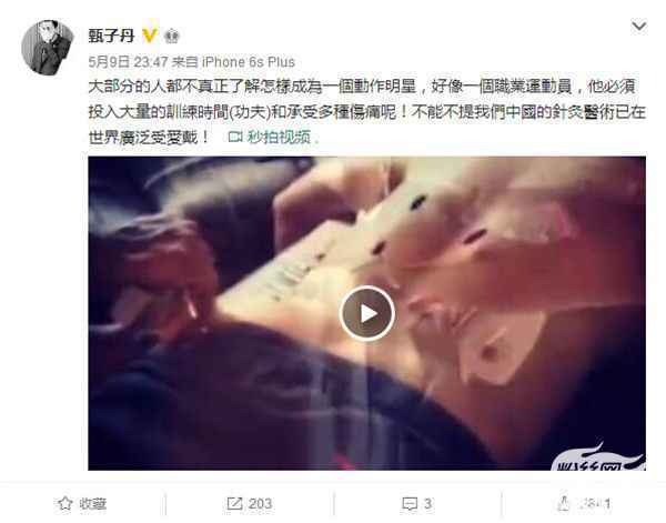 带伤工作十五小时 甄子丹背影圈新粉